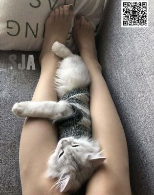大话西游之仙履奇缘