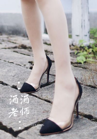 绝密543全集免费完整版